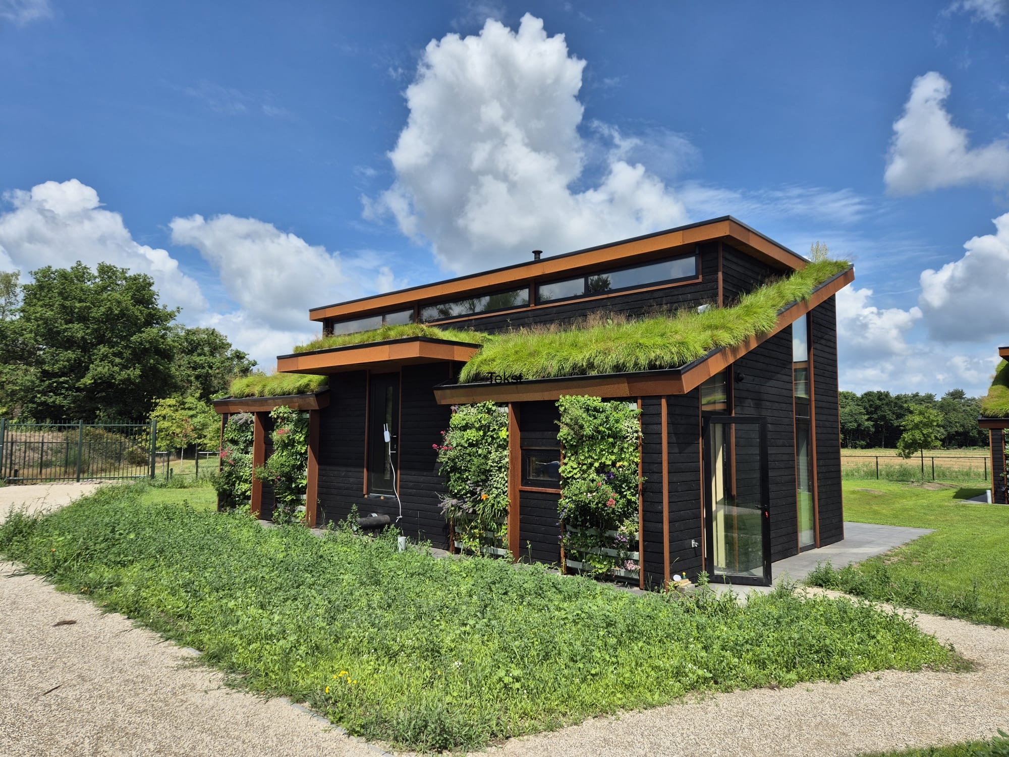 Energiezuinige nieuwbouwwoning in Oploo met groendak en groene gevels